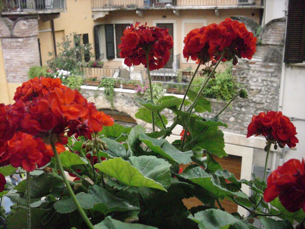 A Casa Di Luca Hotel Verona Exterior photo